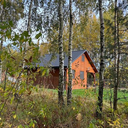 Domek Letniskowy Pod Brzozami Na Roztoczu Wsrod Lasow, Zamosc, Krasnobrod, Zwierzyniec Adamow  Exterior photo