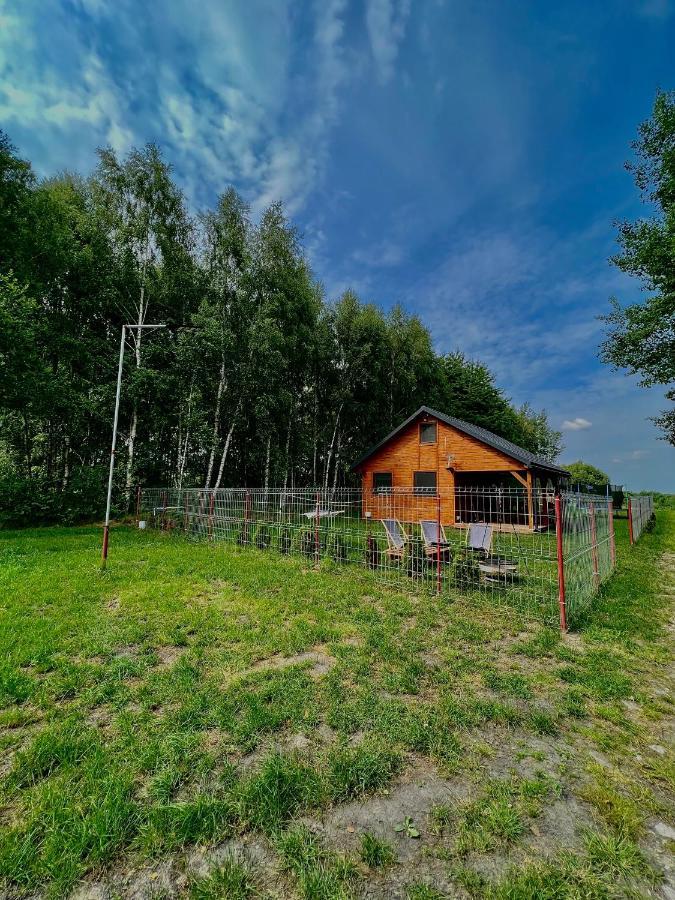 Domek Letniskowy Pod Brzozami Na Roztoczu Wsrod Lasow, Zamosc, Krasnobrod, Zwierzyniec Adamow  Exterior photo